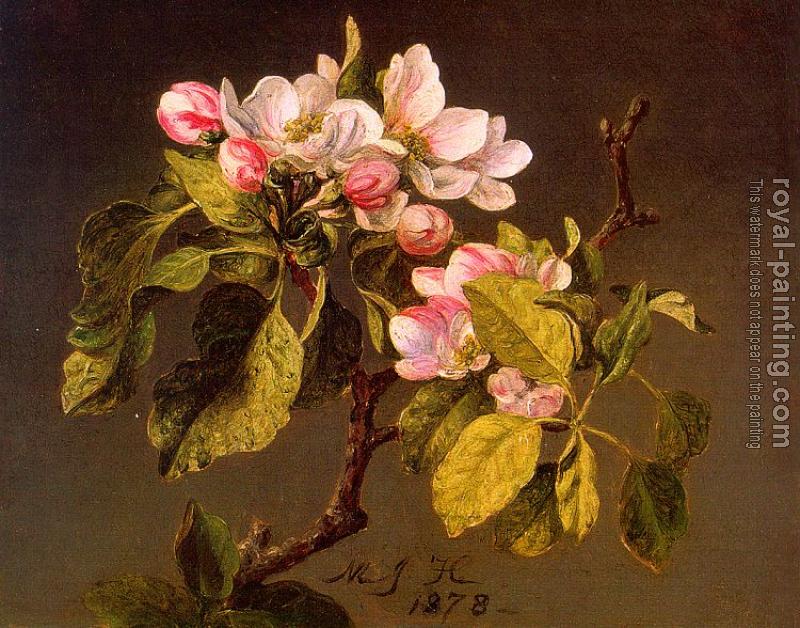 Martin Johnson Heade : Apple Blossoms